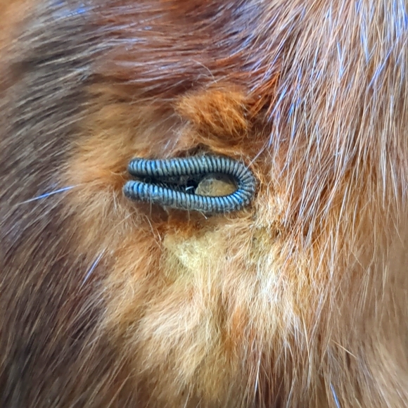 MEYER EPSTEIN FURS Vintage Fur Coat - Picture 9 of 10